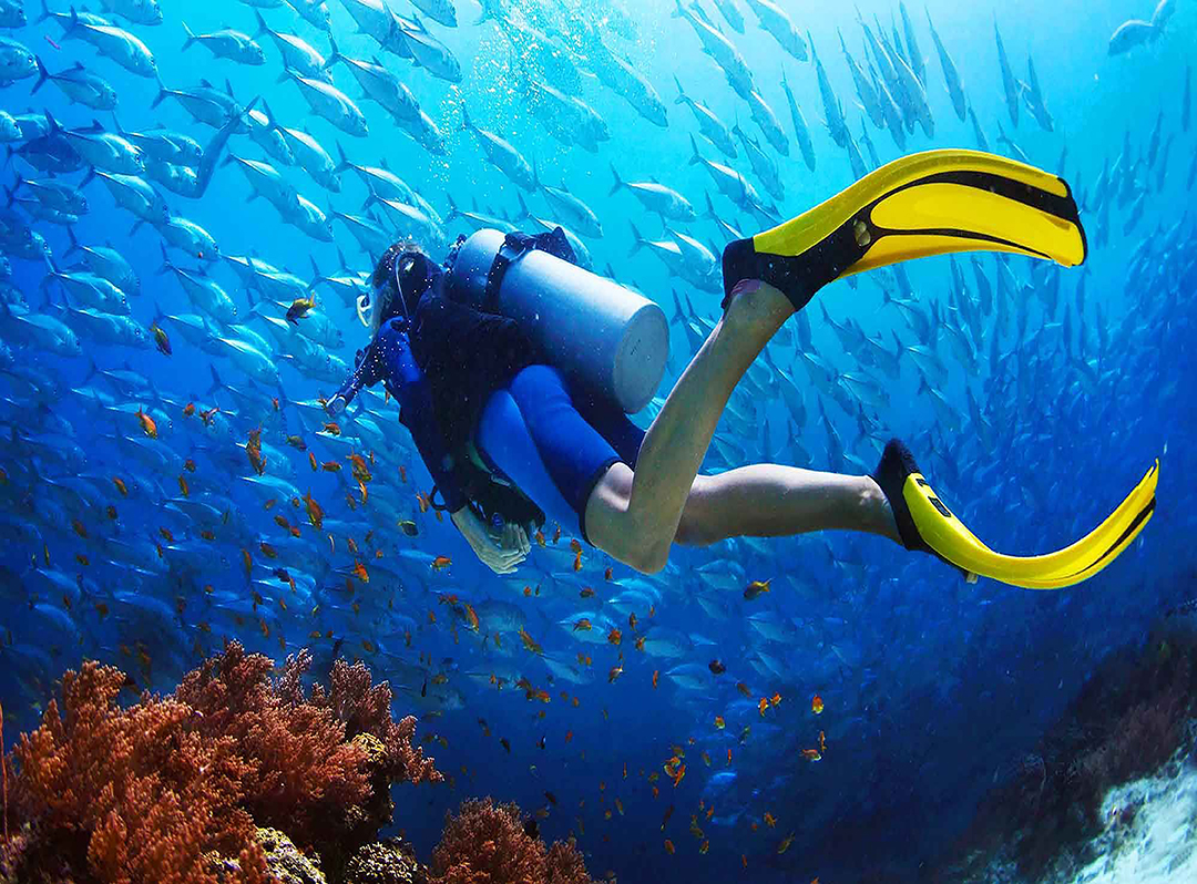 Scuba Diving  Zanzibar